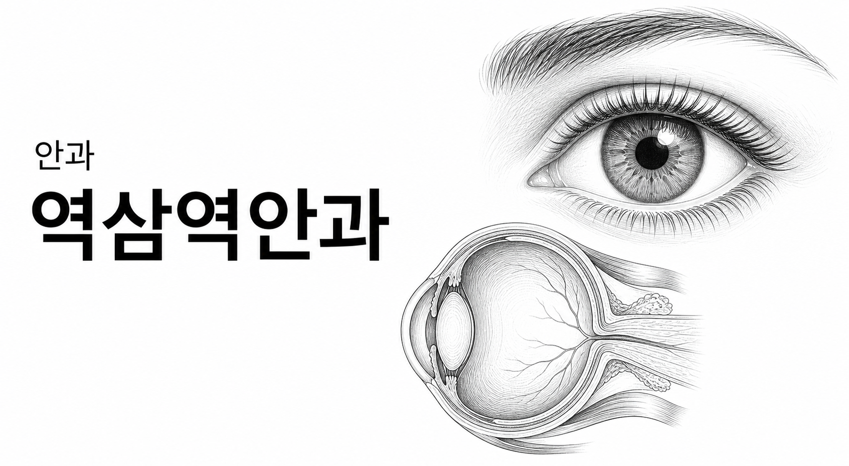 서울 역삼역안과 핵심 정보 이미지